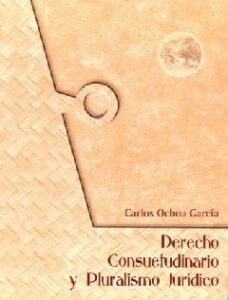 Derecho consuetudinario y pluralismo jurídico.